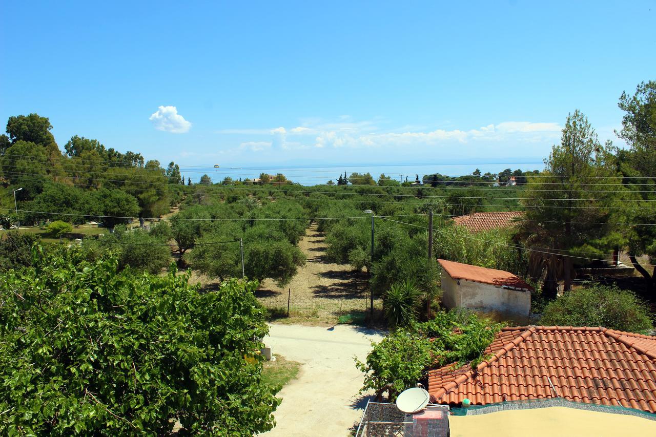 Zante Yliessa Apartment วาซิลิคอส ภายนอก รูปภาพ